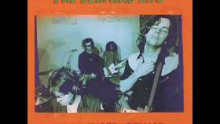 The Flaming Lips The Abandoned Hospital Ship [upl. by Koppel]