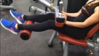 How to do Seated Hamstring Curl [upl. by Travers]