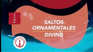 Saltos ornamentales  Diving [upl. by Jay]