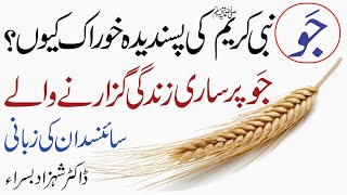 Barley A healthy diet  جو کی طبی اور غذایٔی اہمیت [upl. by Lusar]