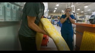 TAKING MY GIANT SNAKES To PetSmart  People Went CRAZY  Jurassic Elements [upl. by Becka]