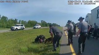 DeWine calls for better police training after Circleville officer deploys K9 on truck driver [upl. by Veta892]