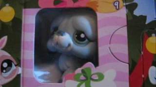 Littlest pet shop advent calendar door 9 [upl. by Eneiluj]