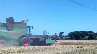 Moisson 2018 XXL en Bretagne cote darmor CR 980 FENDT 9490XL LEXION TX ETA PAIN [upl. by Margaretha]