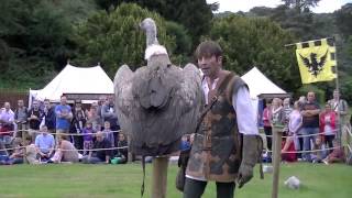 Warwick Castle  Birds of prey display show [upl. by Acireh]