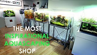 Is this the BEST AQUASCAPING shop in THE WORLD [upl. by Gingras240]