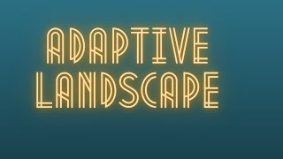 Adaptive Landscape [upl. by Eldnek]