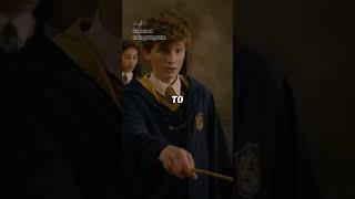 Why Newt Was On Marauders Map harrypotter newtscamander fantasticbeasts [upl. by Nager]