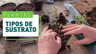 Tipos de sustratos para plantas de interior y exterior  Plantas en VERDECORA [upl. by Susumu]