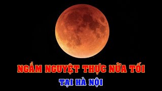 Livestream ngắm Nguyệt thực nửa tối 552023  Khoa học vũ trụ  Top thú vị [upl. by Neibart540]