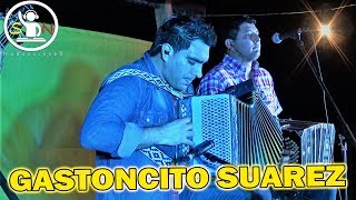 GASTONCITO SUAREZ  FESTIVAL DEL GAUCHITO GIL 2017 [upl. by Fredrika]