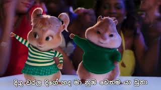 ලෙලෙනා  Lelena  Nilan Hettiarachchi song  Chipmunks amp Himabole version song with lyrics [upl. by Adnof754]