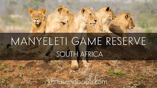 Manyeleti Game Reserve South Africa [upl. by Tansey929]