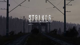 DayZ Stalker My Legend Фартовый [upl. by Maloney]