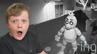 We caught Chica on our Security Camera Fazbear Nights is the Scariest FNAF EVER [upl. by Joye878]