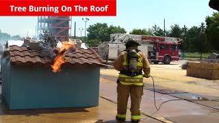 Tree Burning on the Tilcor Roof [upl. by Aneehsar]