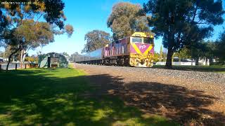 V line N class locomotive near swan hill station [upl. by Paulette]