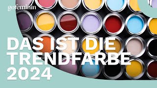 Laut Pantone Das ist die Trendfarbe 2024 [upl. by Anitnahs]