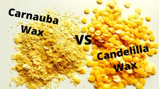 Candelilla Wax VS Carnauba Wax [upl. by Winther]