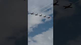 Canadian Snowbirds 2023 Pacific Airshow Huntington Beach [upl. by Papst]