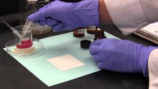 ThinLayer Chromatography TLC [upl. by Templas351]