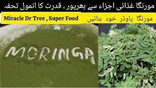 Moringa Powder  Drumstick Leaves Powder  How To Make Moringa Powder [upl. by Elorak416]