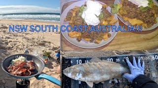 CAMPINGBEACH FISHING CAMP FIRE COOKING on AUSTRALIAS NSW south coast BEACH [upl. by Eneladgam721]