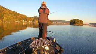 Susquehanna River Fall Topwater [upl. by Ahcorb152]