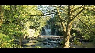 Penllegare Valley Woods  Tranquil Wandering in Swanseas Beautiful Park ASMR [upl. by Amari967]