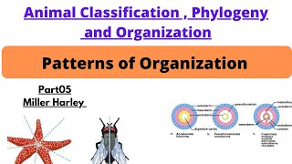 Patterns of organizationprt5Symmetry with typeunicellulardiploblastictriploblastic organization [upl. by Yhtac]