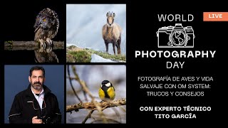 Spanish  Fotografía de aves y vida salvaje con OM SYSTEM trucos y consejos [upl. by Uziel]