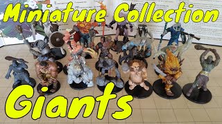 Large DampD Giant Miniatures Collection [upl. by Takakura]