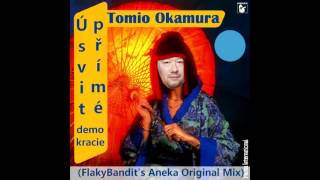 Tomio Okamura  Úsvit Přímé Demokracie FlakyBandits Aneka Original Mix [upl. by Matelda]