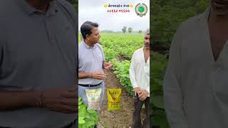 Npk Fertilizer amp sulphur farming agriculture micronutrients kisan organic farmer [upl. by Ylrebmek]