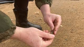 My Friend Finds an Arrowhead [upl. by Rebe]