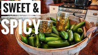 THE COWGIRL CANDY CANNING RECIPE  Bonus Why We Can Our Food [upl. by Lanti]