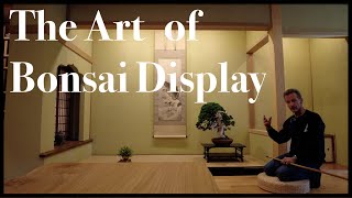 The Art of Bonsai Display  Greenwood Bonsai [upl. by Lleihsad]