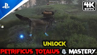 Hogwarts Legacy Unlock ESSENTIAL Petrificus Totalus amp Mastery at Level 22 Guide 4K 60FPS [upl. by Akilam703]