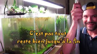 Entretien Nano aquarium a crevette  suivis des bacs 6 mois plus tard [upl. by Spevek831]