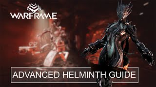 Advanced Helminth Guide amp Leveling  Warframe [upl. by Einahpad]