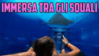 SCIVOLO TRA GLI SQUALI una giornata allatlantis acquaventure dubai con ValentinoPezzi [upl. by Notserk667]