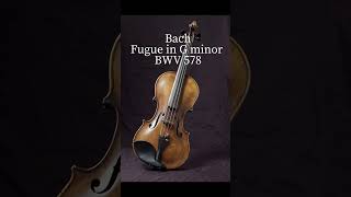 Bach  Fugue in G minor violin cover [upl. by Esnohpla]