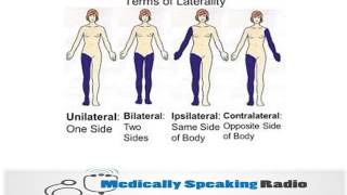 Medicallyspeakingterms of laterality [upl. by Marcile]