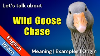 Wild Goose Chase Meaning  Idioms In English [upl. by Enairda]