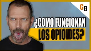 ¿Como funcionan los OPIOIDES  Morfina Fentanilo Heroina y Otro Opioides EXPLICADOS [upl. by Maller]