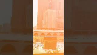 Muhammad dun syed dun Naat masjidnabawi😍viralvideobeautiful youtubeshorts whatsappstatus [upl. by Annavas]