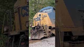 CSX M433 with YN2SD70MAC Combo Entering the Tunnel Along the CSX River Line 💯🚂🇺🇸📸 [upl. by Akirat]