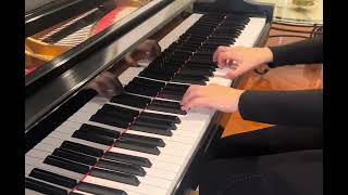 Bach Polonaise in G Minor BWV Anh 125 [upl. by Filbert206]