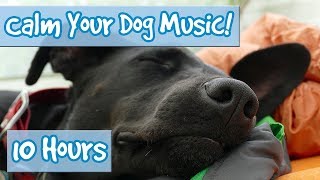 How to Calm Your Dog Down Music Relaxing Music for Dogs to Stop Anxiety and Help Keep them Calm 🐶 [upl. by Lebana825]