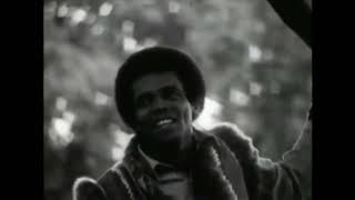 Johnny Nash  I Can See Clearly Now 1970 [upl. by Aicilyt]